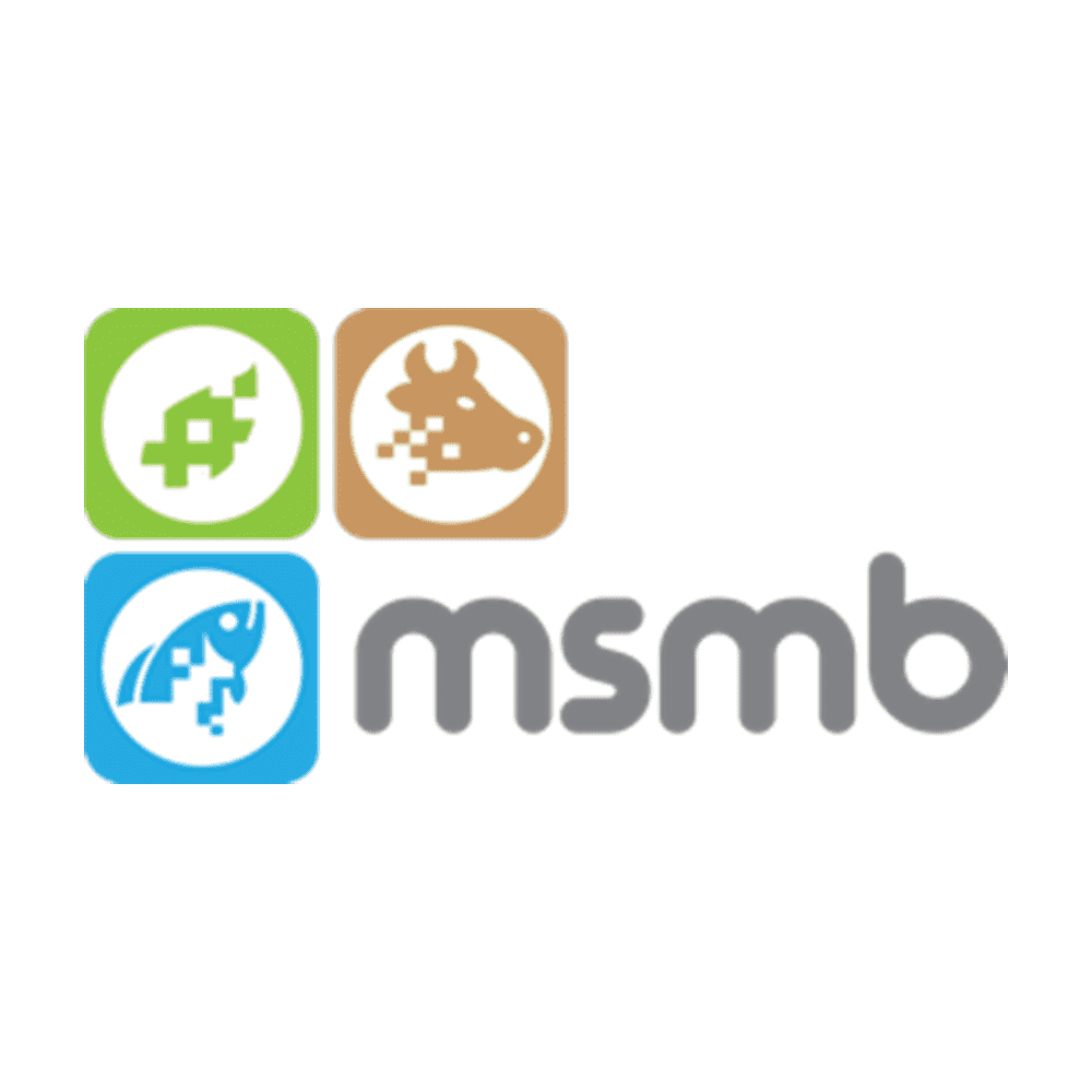 logo msmb